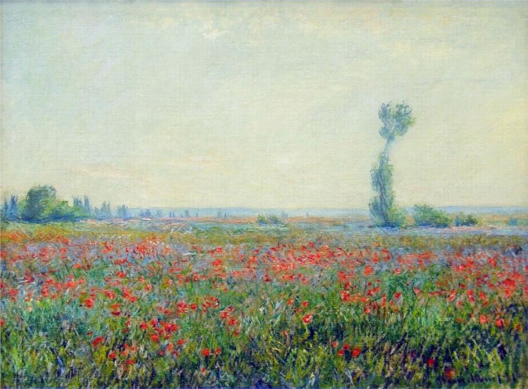 Poppy Field - Claude Monet Paintings